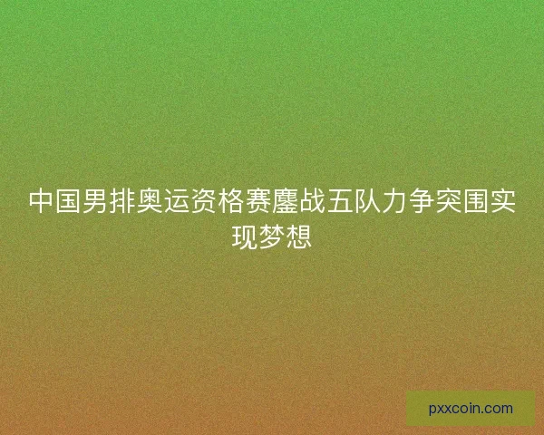 中国男排奥运资格赛鏖战五队力争突围实现梦想